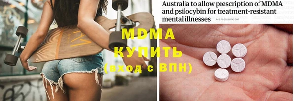 шишки Магас
