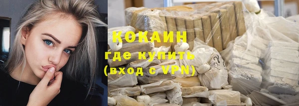 шишки Магас