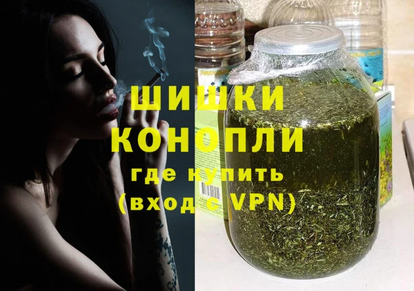 шишки Магас