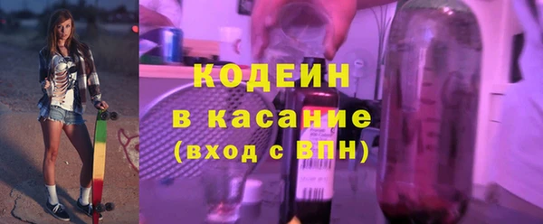 шишки Магас