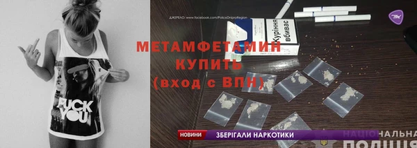 шишки Магас