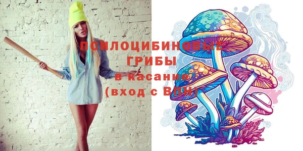 PSILOCYBIN Майский