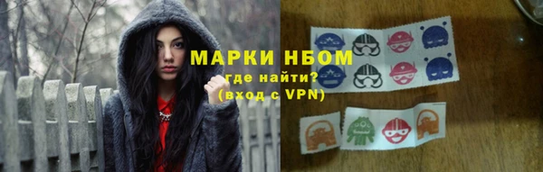 PSILOCYBIN Майский