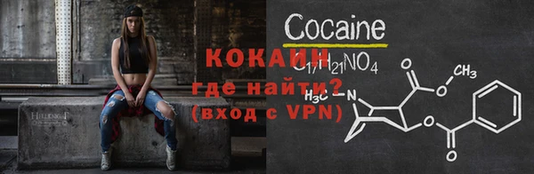 шишки Магас
