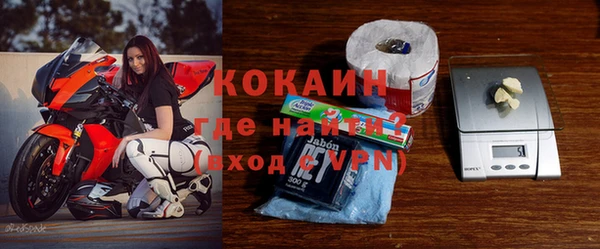 шишки Магас